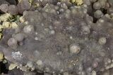 Purple Botryoidal Grape Agate - Indonesia #370416-1